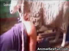 Sheep receives to fuck this dude in the wazoo